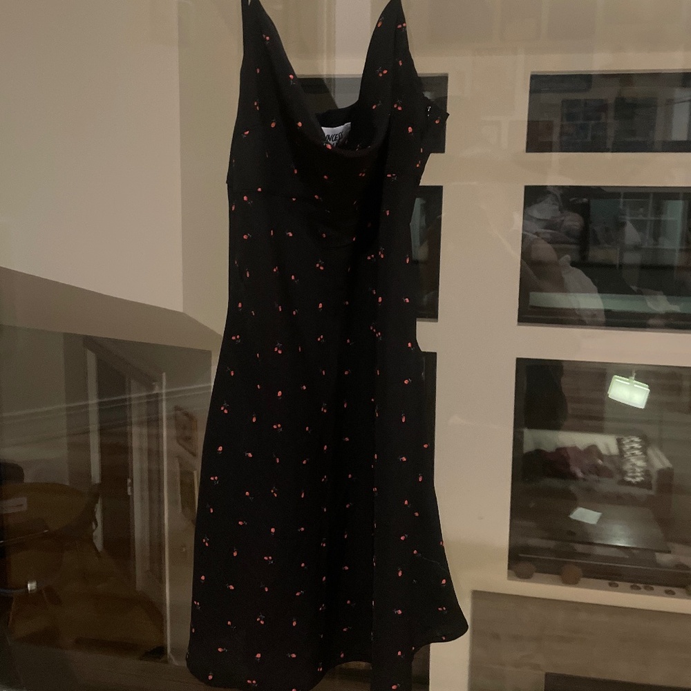 Princess Polly rose mini dress